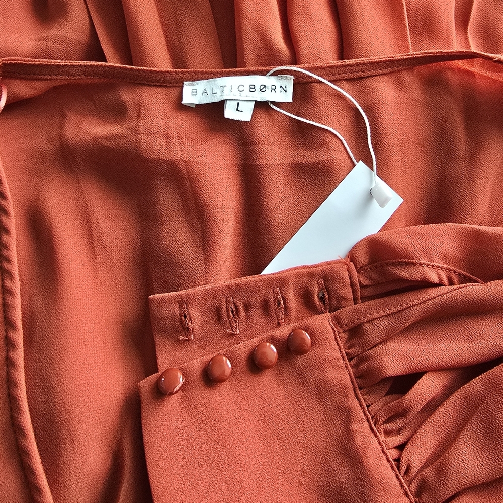 Baltic Born Celine Rust Maxi Dress - Picture 8 of 9
